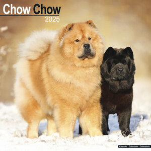 Chow Chow