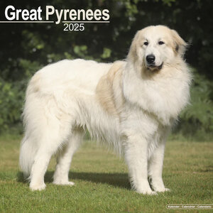 Great Pyrenees