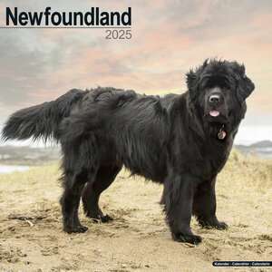 Newfoundland