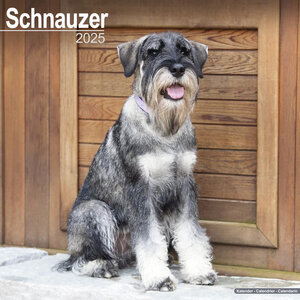 Schnauzer