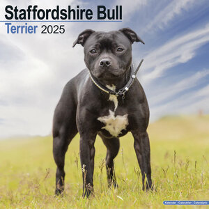 Staffordshire Bull Terrier