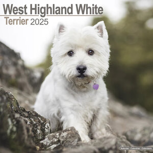 West Highland White Terrier