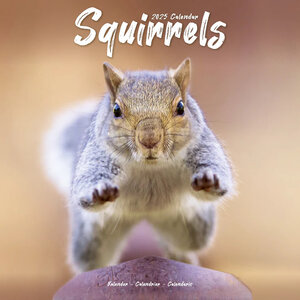 Squirrels