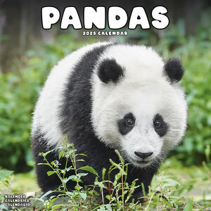 Pandas