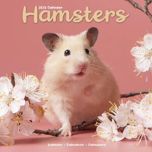 Hamsters