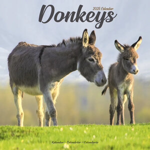 Donkeys