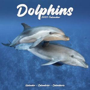 Dolphins