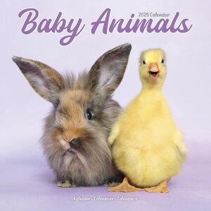 Baby Animals