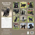 Bouvier des Flandres_