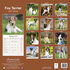 Fox Terrier_