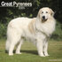 Great Pyrenees_