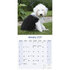 Old English Sheepdog_