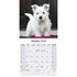 West Highland White Terrier_