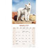 White Shepherd_