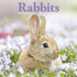 Rabbits_