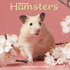 Hamsters_