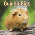 Guinea Pigs_