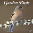 Garden Birds_