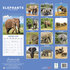 Elephants_