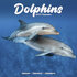 Dolphins_