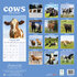 Cows_