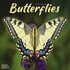 Butterflies_